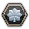 Lieutenant Colonel